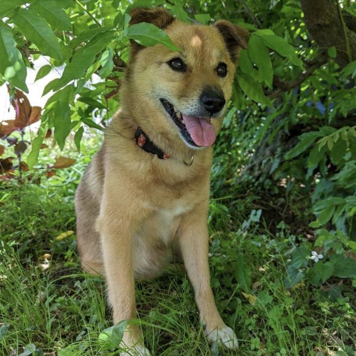 6baa99b8 114e 4886 babb cc235ee84a79 1663297460276