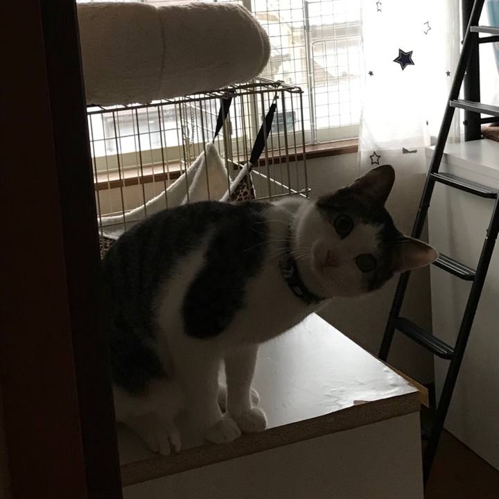 6baaad6d b61b 4e12 8e44 0f11dad39302 1551664440623