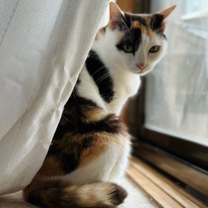 6baaf4a2 a0c2 48b7 af9f ee43c76d4291 1688262819574