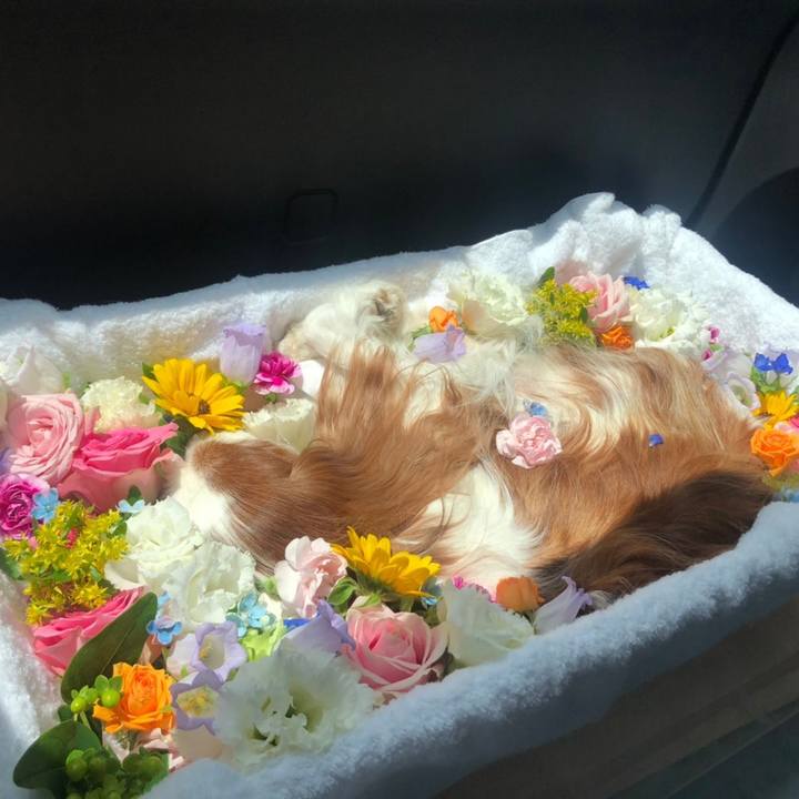 6bab08a7 e460 4377 a688 e92bd856e7b7 1623970592339