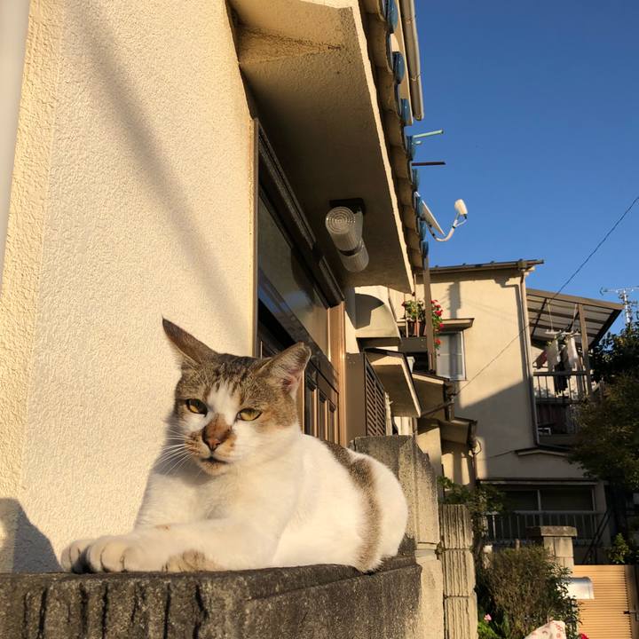 6bab1c95 7ca2 4eec 8a2d 00de35ed71e9 1540170931957