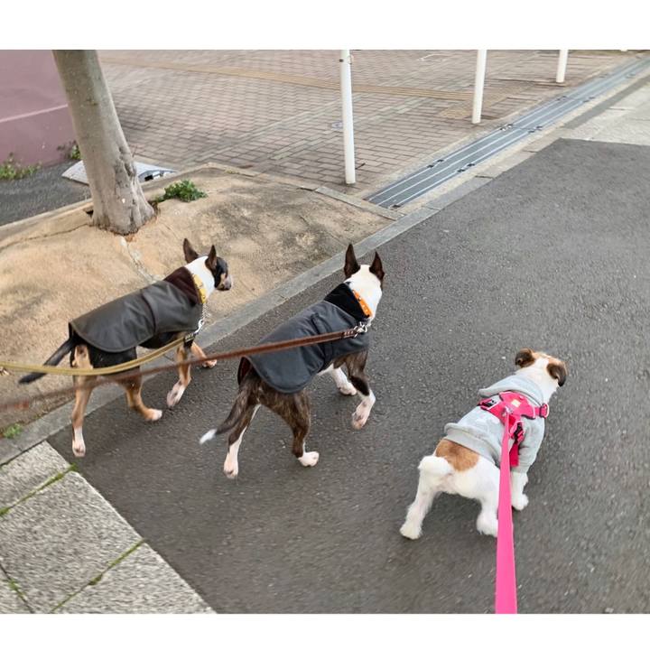 6bab1e41 c40b 41ec a20a 09123da936a3 1582366359567