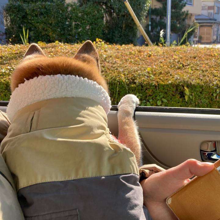 6bab9634 6817 4717 8c00 9ebba5d4cf05 1767072310897