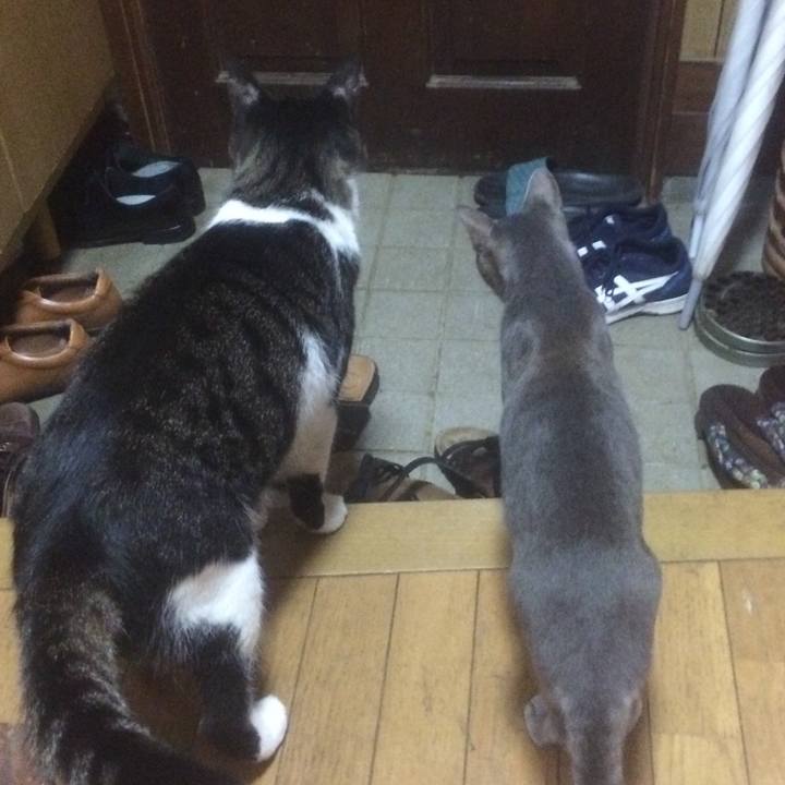 6bab9ea9 658d 4bc9 a86c 8e0235a5b555 1536491839961