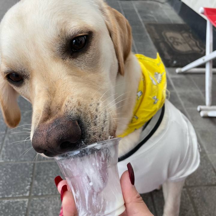 6babec73 32fd 4812 9fcc d22c77534894 1650196938491