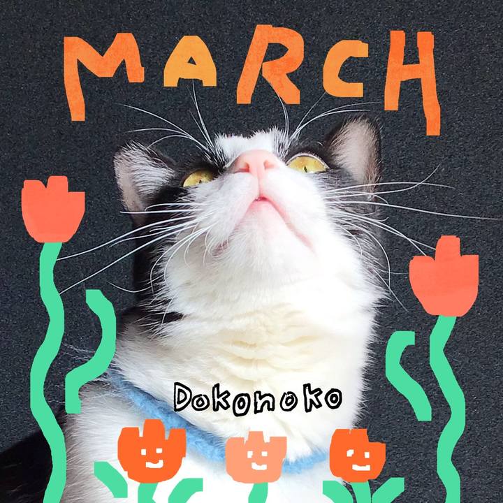 6bac2a55 23ed 4759 ab52 0951561ba229 1741512431834