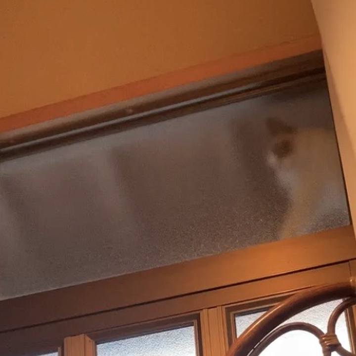 6bac2ace f7d3 4058 9060 3d12d6ab80d3 1731436995265