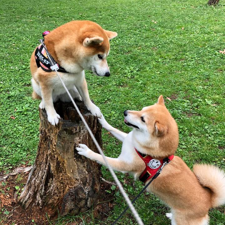 6bac79c5 53ad 4317 8ece fe1f60cc70a7 1561078250357