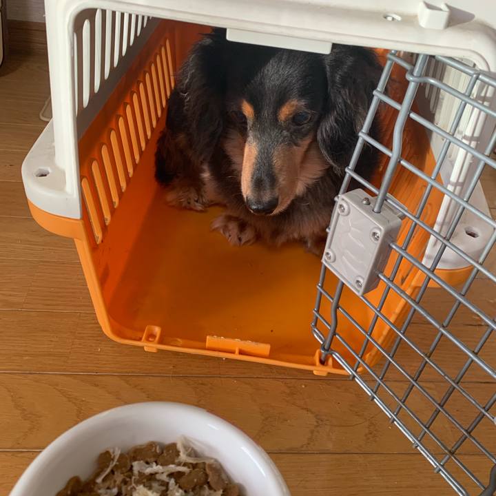 6bacd4bb f2ee 4df2 b97d c7545ead30fa 1568754517938