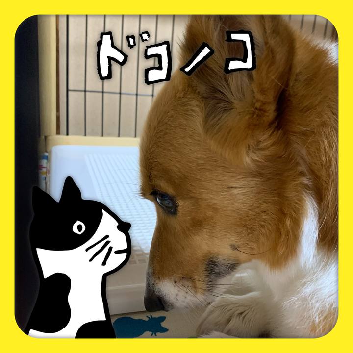 6bace1da 4812 4de1 997d 246aee1c541b 1622882522402