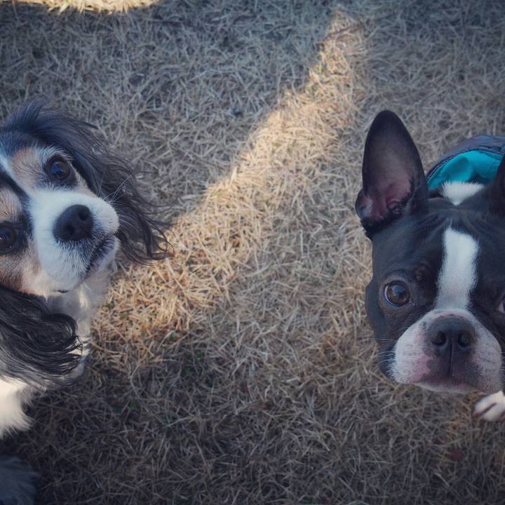 6bad0c5e 475a 4fc0 9069 cb2ad9865fac 1515306478804