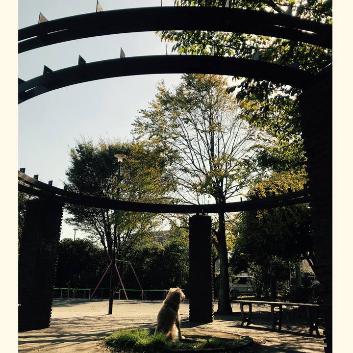 6bad31e2 43f7 4d18 82eb a17a3f46f72a 1540185710190