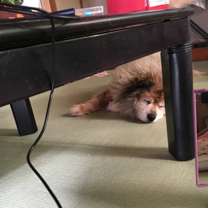 6bad46c1 6402 442c a639 0dddbbc84453 1607190598314