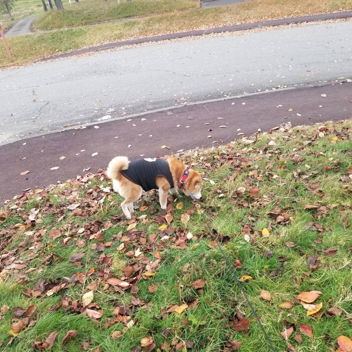 6bad6aa6 cfce 474d 81dd 3a65cffd6fee 1731737233706