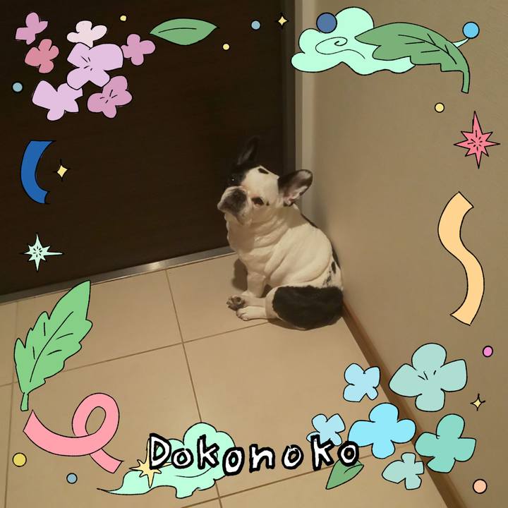 6bad7095 f876 4c08 b4ed 9bd79c61e864 1718102271438