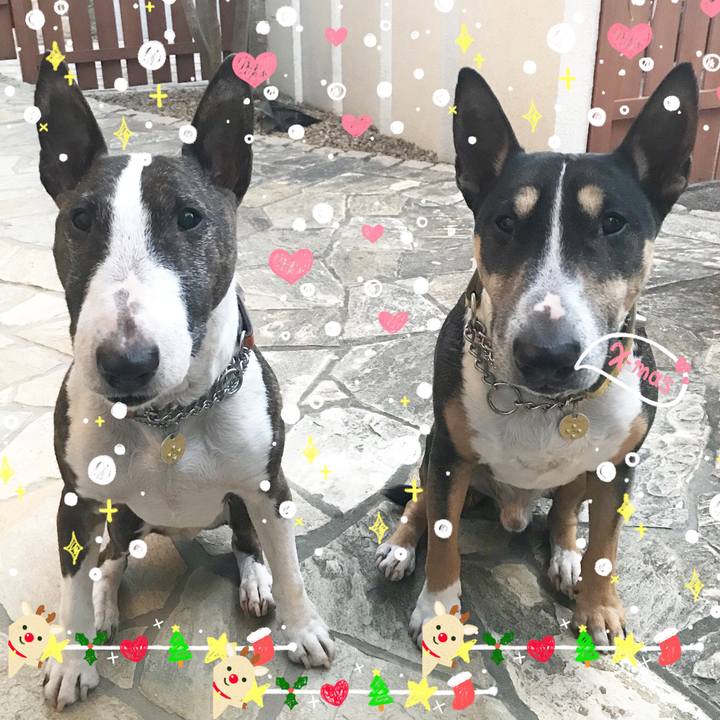 6badae05 272e 4842 9c97 044cc29bc5fd 1514110161609