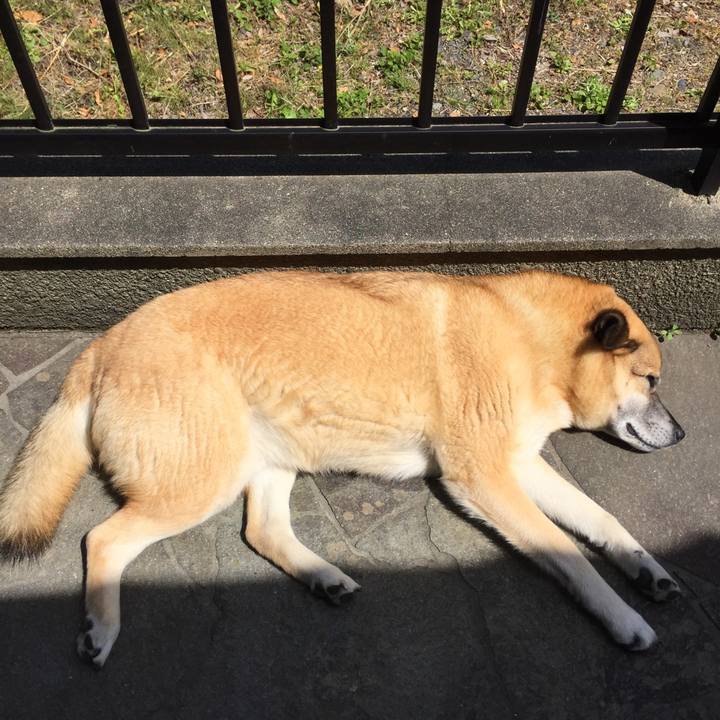 6badc367 7d55 4d93 9f80 97a7500206eb 1526347732116