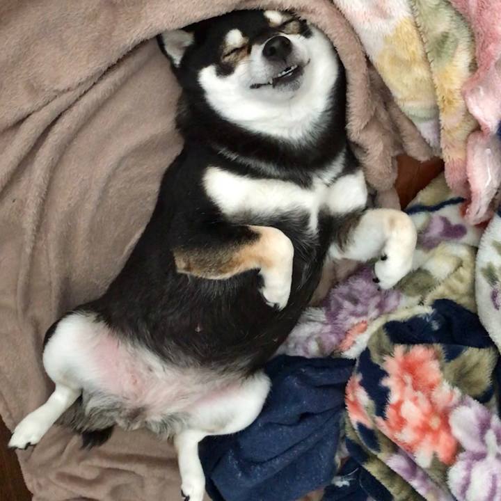 6badd85a c38c 42ca 8419 870b7e54fc04 1539921727159