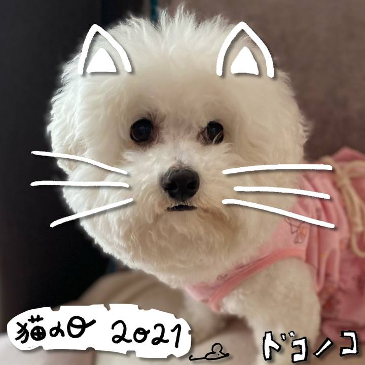 6bae175c 28ad 41cf 8629 48c9d1c8d27a 1613968104600