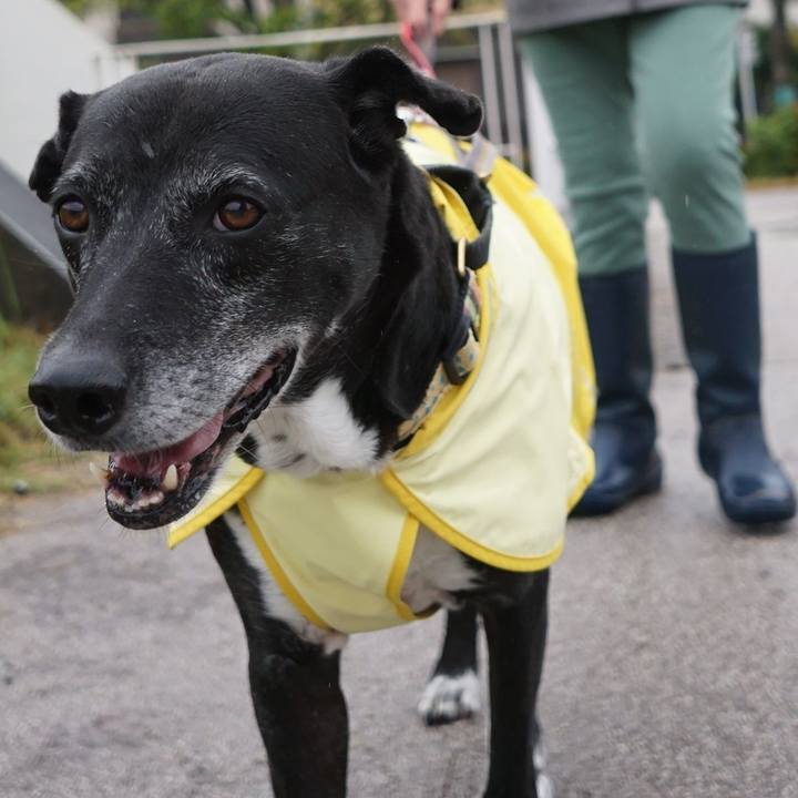 6bae479c 1020 4077 b4a5 51954b9c5dd4 1761349805429