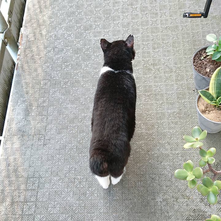 6bae582c a201 444a 996c 4e7f4609f0e2 1659996153654