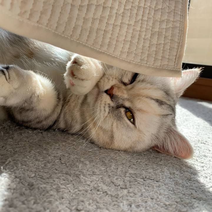 6bae76e5 9da3 4275 91f4 49209c1f2567 1710718126073