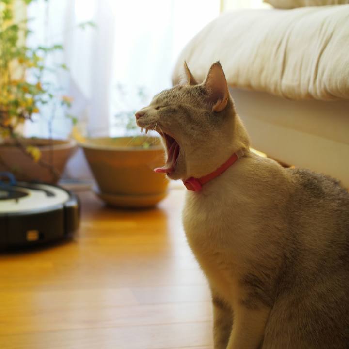 6bae95b3 2b67 43eb b753 5dbb75dfef18 1515883179106