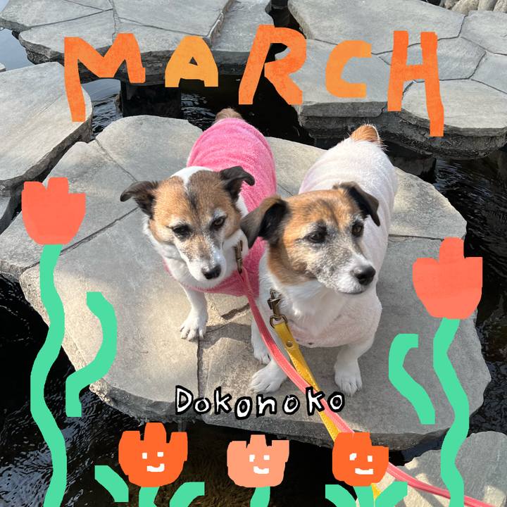 6baea924 361a 42f5 8e01 d5355bce60b5 1741104211912