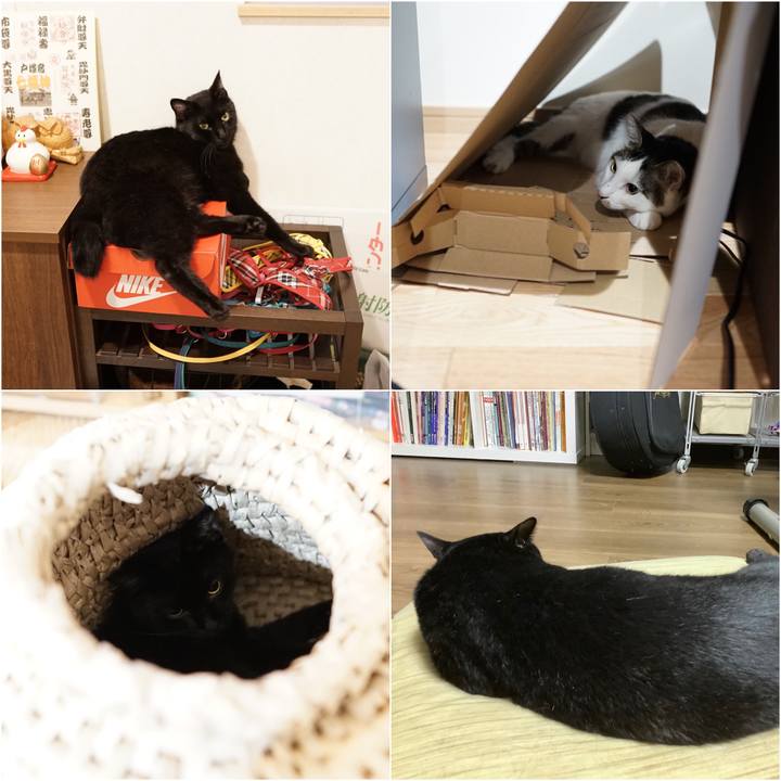 6baeadd8 4b76 423d 9e90 296edaa9a6b7 1564238102157