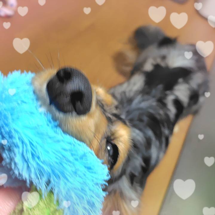 6baec37a 335b 4053 9445 e4d2677b5bbc 1755646788808