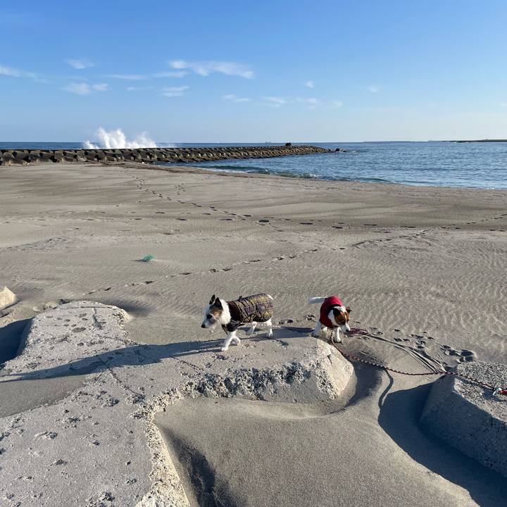 6baeda4e b9b6 4cf5 a771 07098f50abdd 1773964757835