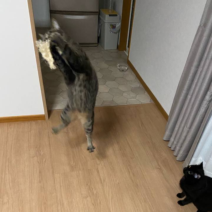 6baee93e b876 47f5 8f75 6394e75f2c51 1626003053396