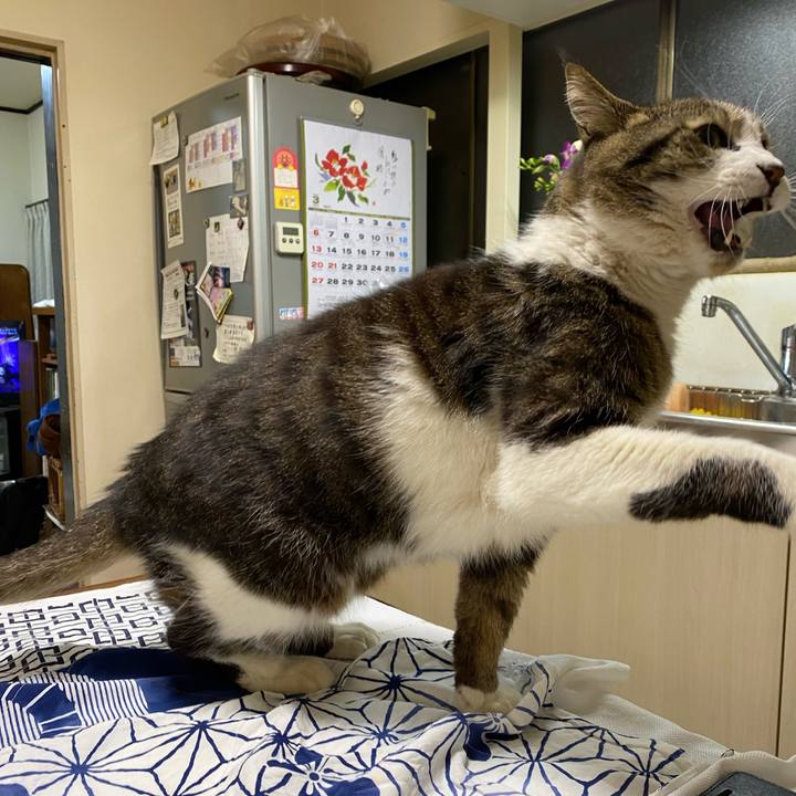 6baf1ff8 9449 4f19 bc48 93be3cc346eb 1647616959972