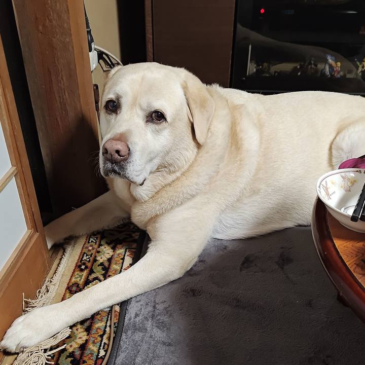 6baf5869 a6b9 4ad7 ba98 31a9792507d0 1764846139720