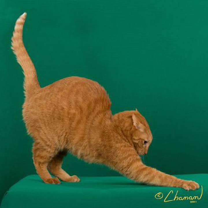 6baf8127 717b 42d7 ab06 b34bd5956b20 1678015288865