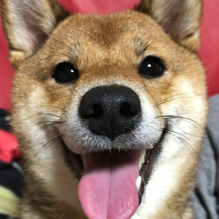 6bafb8b6 6a8c 450f 98b2 2dccd8434d3c 1520418521095