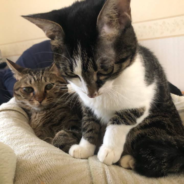 6bb0184e 0dd8 46b1 a07a 38a7cc08d17a 1572195190188