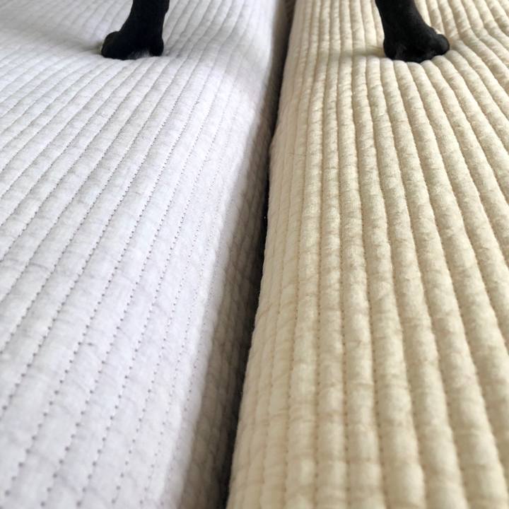 6bb0230b 3f9b 449b bc21 76010fec789f 1561522427649