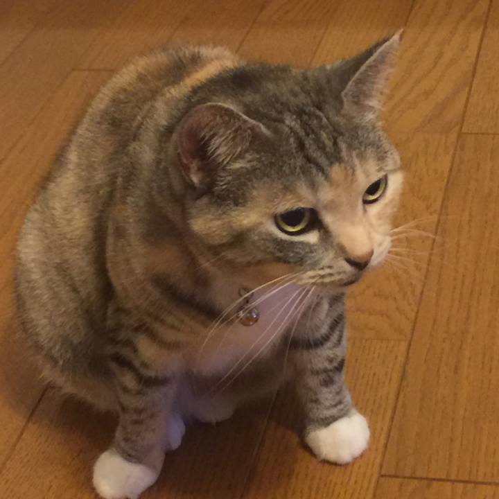 6bb02b22 aef9 4c90 a12b 0f1bc789a3cd 1563402623591