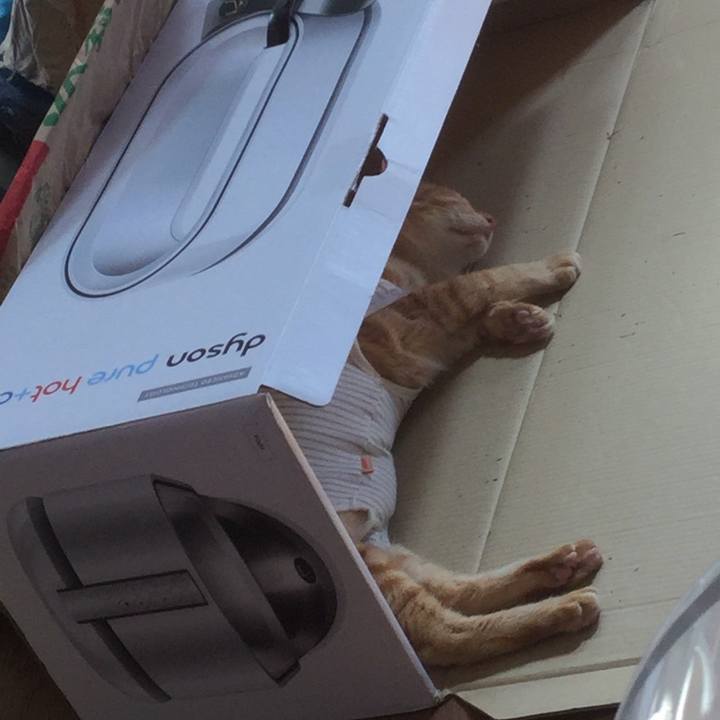 6bb0333c 0dfe 4356 95f2 014e49f87d6d 1569667085323