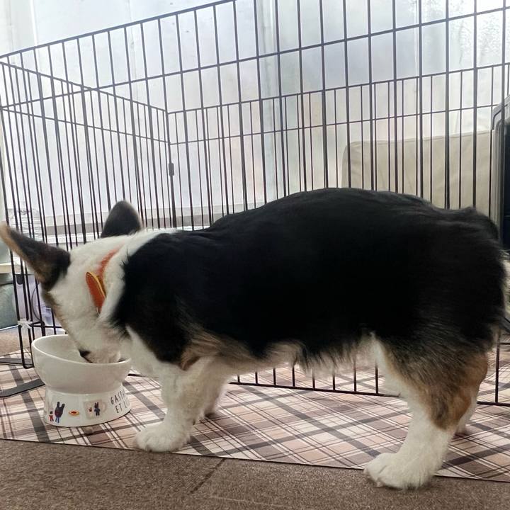 6bb04f51 9b51 4bc7 9f64 f6da995a85de 1775180613496