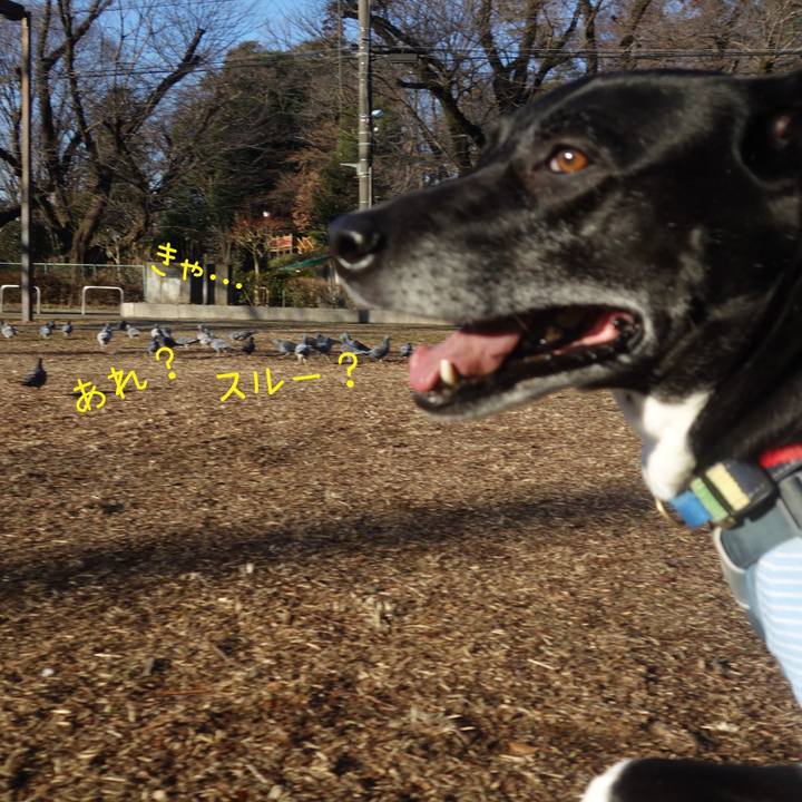 6bb06d1f 57ee 449f 8370 25469fd5a16b 1707613575236