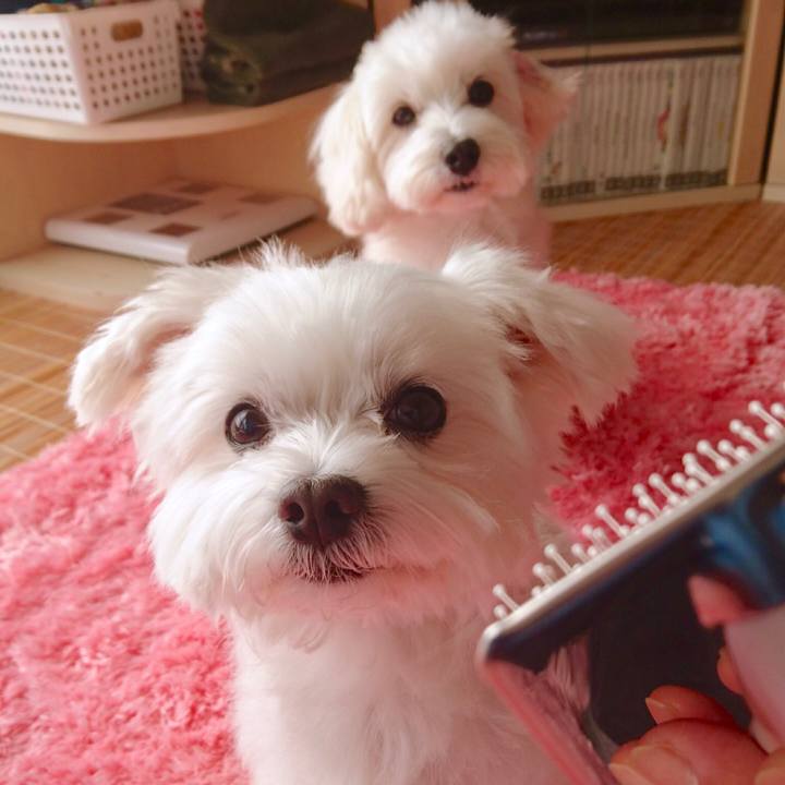 6bb0a9a4 7181 4ed3 b167 309d29aba8c3 1542831873422