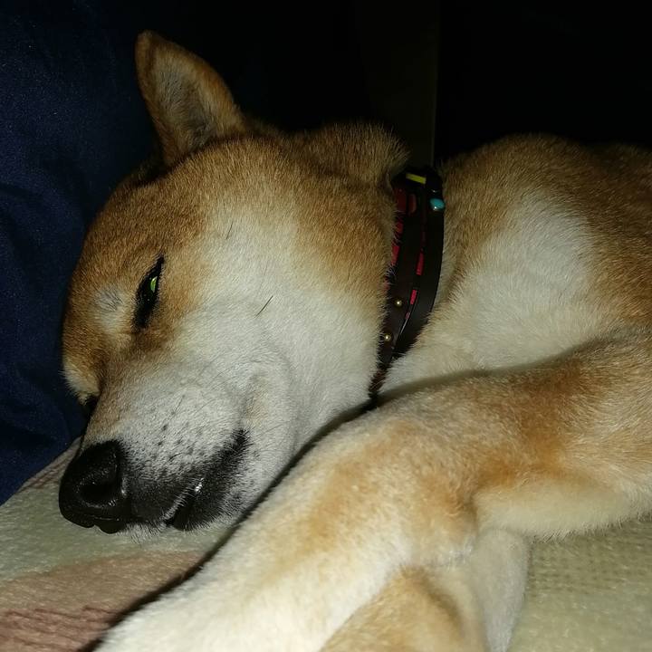 6bb0aa14 b312 45a0 99b4 ee3dfa5680a7 1644508892936