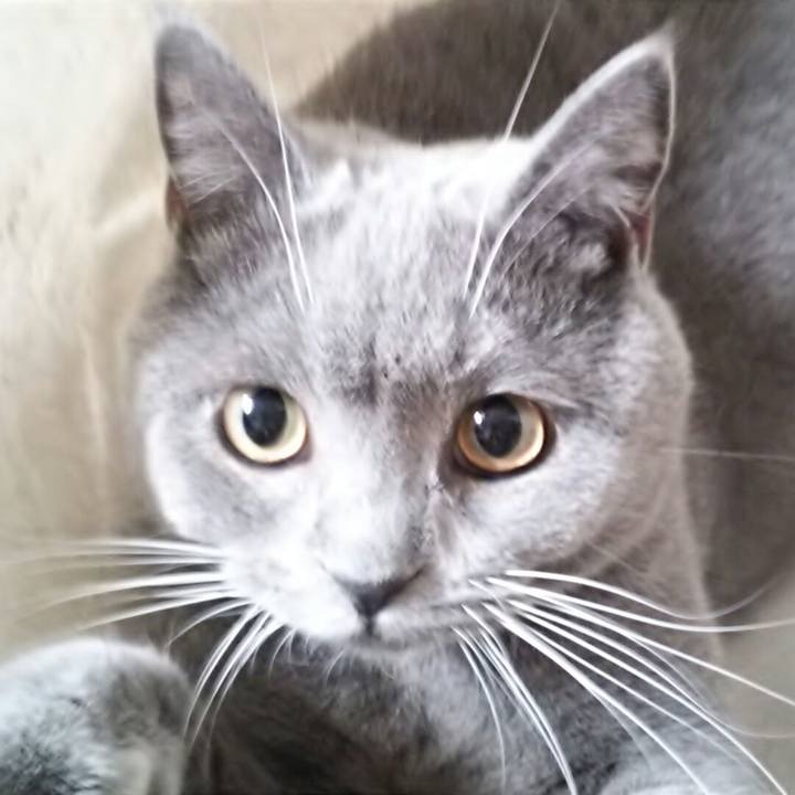 6bb0e156 3e45 47d7 9da5 5283081c0df0 1550275943507