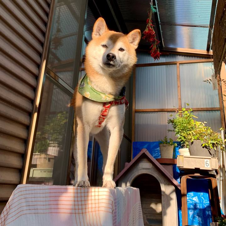 6bb0f7f5 5c65 45bd 896a e64b94cf2165 1604477275343