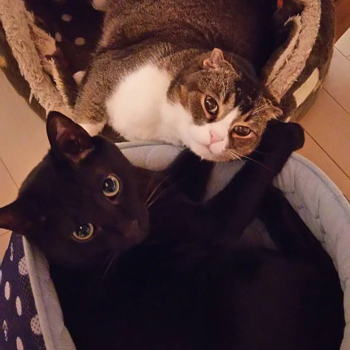 6bb12f50 569e 429b 8927 bc9d54a90da6 1550839710406