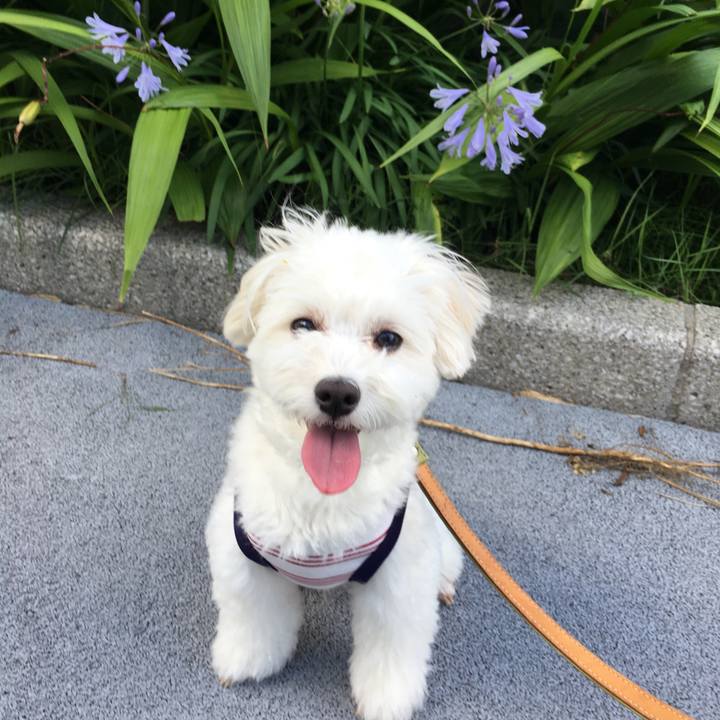 6bb16015 5091 4da7 aa1c caa5324662b1 1560678645447