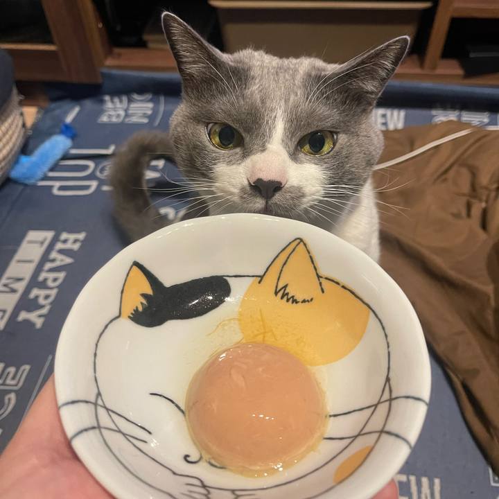 6bb187a4 9f66 4dce ad39 6f03c73c4670 1707908152461