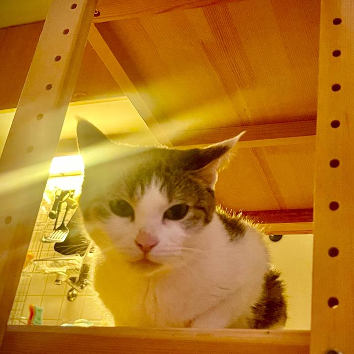 6bb1b1fb 93d8 4013 bc5d 746398c9a3b1 1626694778414